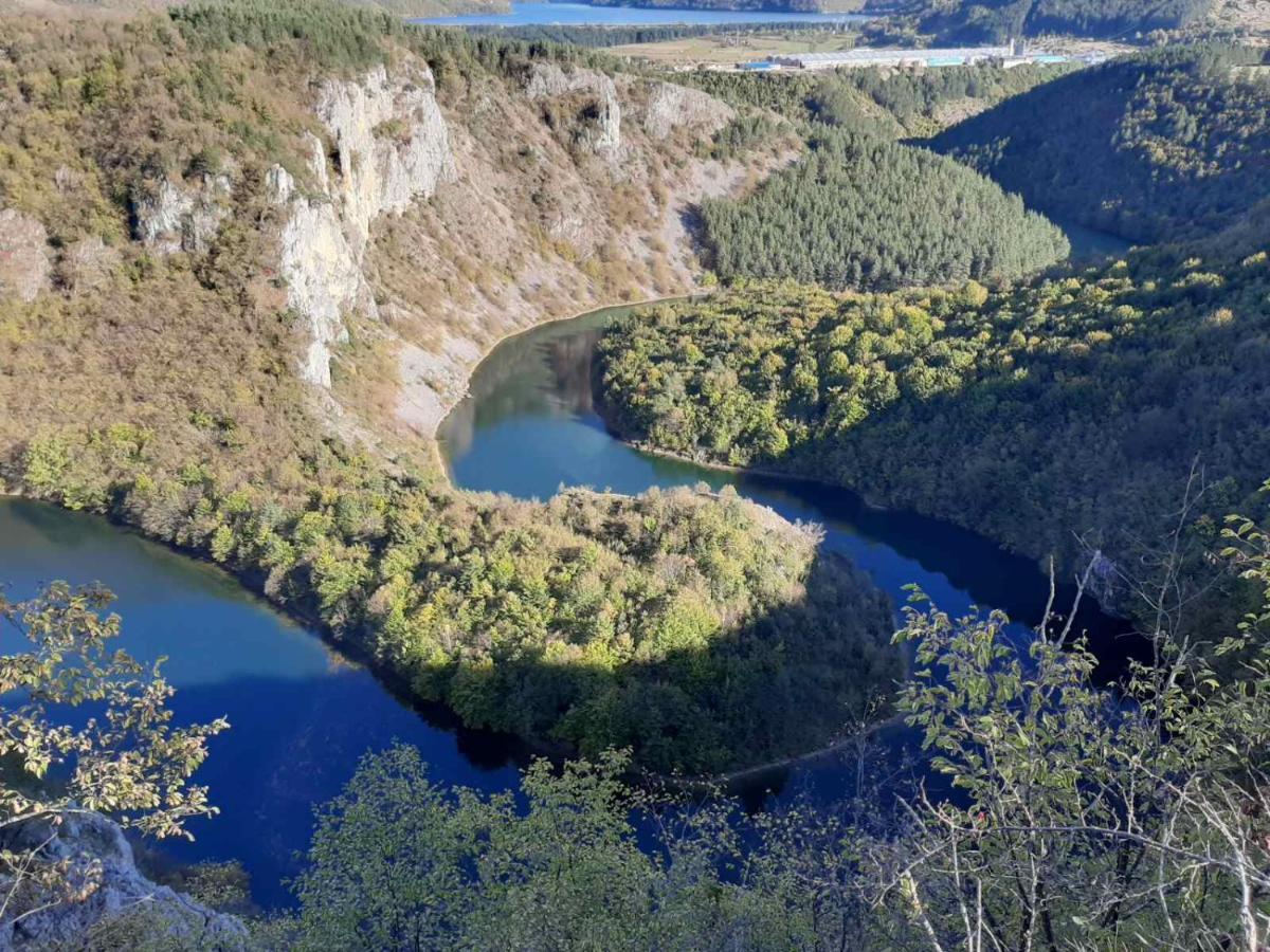 Brvnare Stojic Lägenhet Kokin Brod Exteriör bild